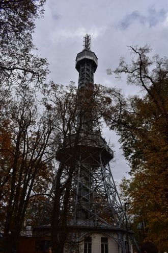 Fotografie dsc-1016_original_1_original.jpg