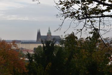 Fotografie dsc-1048_original_1_original.jpg