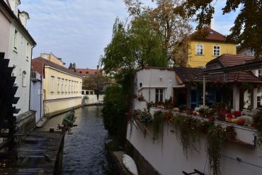 Fotografie dsc-1142_original_2_original.jpg