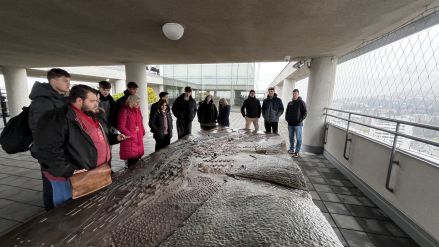 Fotografie img-7303_original_1_original.jpg