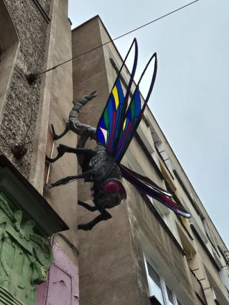 Fotografie 20241212-130457_original_1_original.jpg