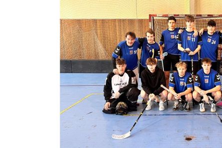 Foto k aktualitě Okresní kolo ve florbale