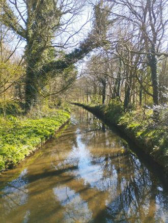 Fotografie 486760867-1181609996960175-4230450063083_1_original.jpg