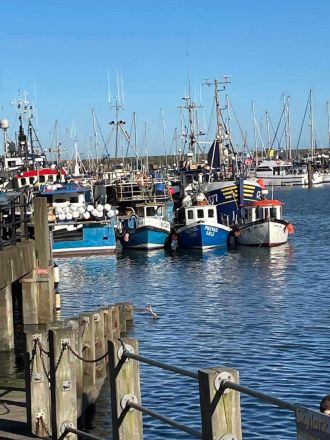 Fotografie 486826170-1189970252916458-1349293449036_1_original.jpg