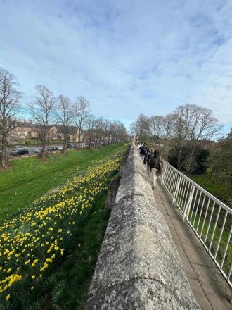 Fotografie 487309634-1863222534243482-8902292871681_1_original.jpg