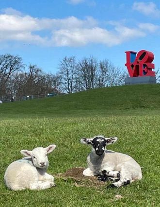 Fotografie 487812528-642599101989068-60505503940120_1_original.jpg