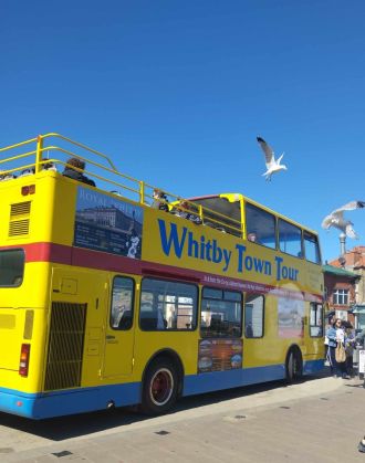 Fotografie 488016718-1064794775684811-9031699754866_1_original.jpg