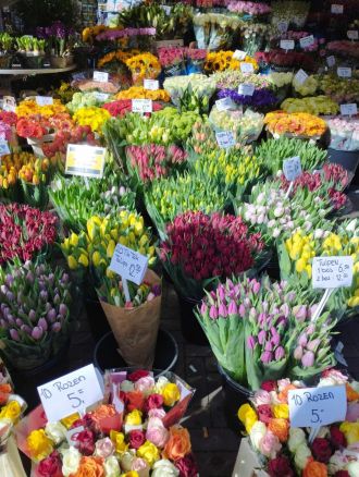 Fotografie 488902689-2886528671508175-1711631003787_1_original.jpg