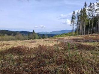 Fotografie 38157c26-34a6-480d-aa81-890791adf0fa_ori_1_original.jpg