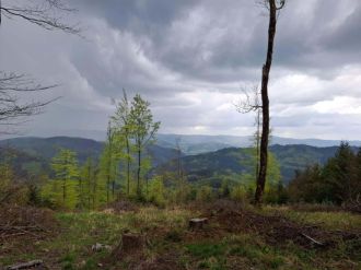 Fotografie efea022d-b34a-4209-93a6-d72310dcd53e_ori_1_original.jpg