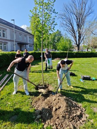 Fotografie foto-8_original_18_original.jpg