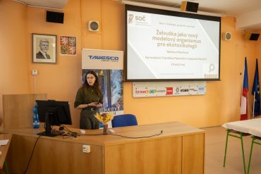 Fotografie p1046994_original_1_original.jpg