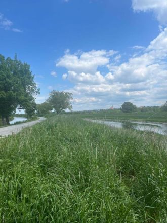 Fotografie c14ca5f2-5054-49c2-97d1-5f26fdc7b2f1_ori_1_original.jpg