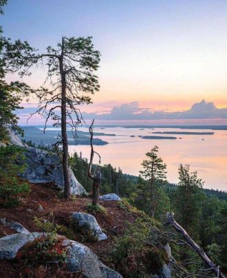 Fotografie f5408c7a-8928-4b91-bdca-640a508fb4ee_ori_original.jpg