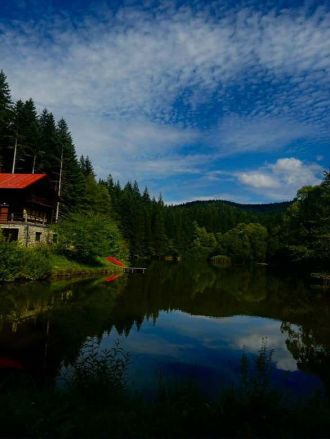 Fotografie www7_original_original.jpg