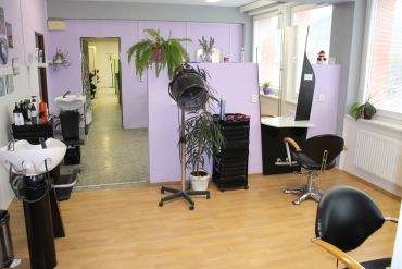 Fotografie img-5595_original_original.jpg