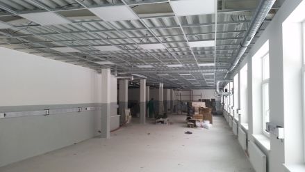 Fotografie 20190128-114930_original_original.jpg