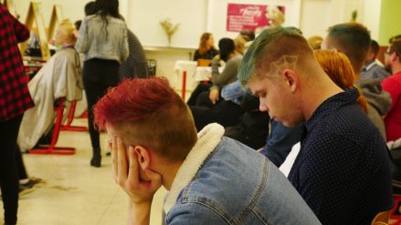 Fotografie p1250664_original_1_original.jpg