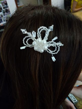 Fotografie 51567772-355716205271053-198501542471820_original.jpg