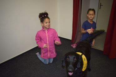 Fotografie dsc-0001_original_original.jpg