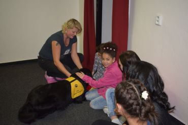 Fotografie dsc-1144_original_original.jpg