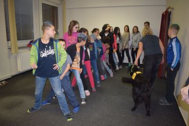 Fotografie dsc-1146_original_original.jpg