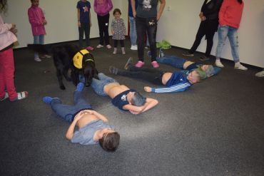 Fotografie dsc-1161_original_original.jpg