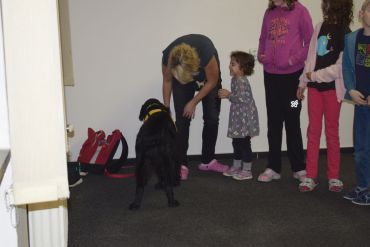 Fotografie dsc-1173_original_original.jpg