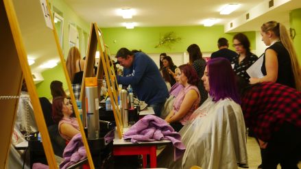 Fotografie p1250798_original_1_original.jpg