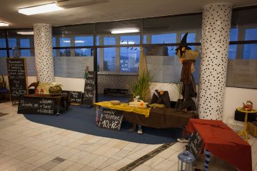 Fotografie img-8296_original_2_original.jpg