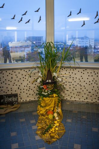 Fotografie img-8301_original_2_original.jpg