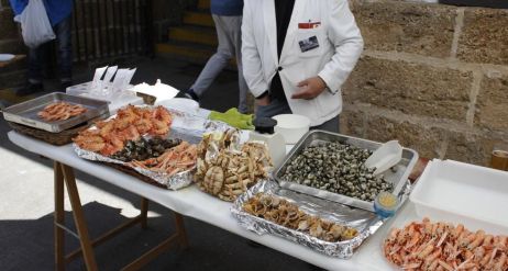 Fotografie obr13_original_1_original.jpg