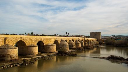 Fotografie dsc-6731_original_1_original.jpg