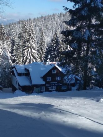 Fotografie img-20230208-105817_original_original.jpg