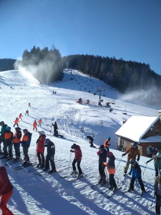 Fotografie img-20230209-105650_1_original_original.jpg