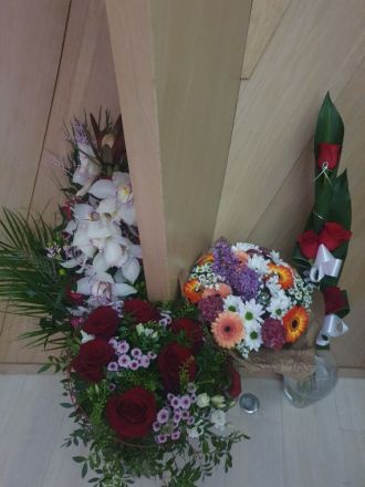 Fotografie 20240209-202047_original_original.jpg