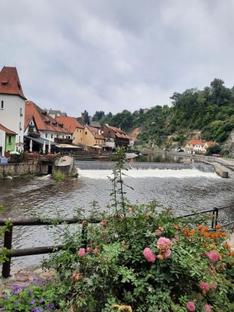 Fotografie 20250910-131838_original_original.jpg