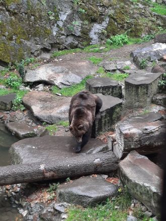 Fotografie 20250910-151125_original_original.jpg