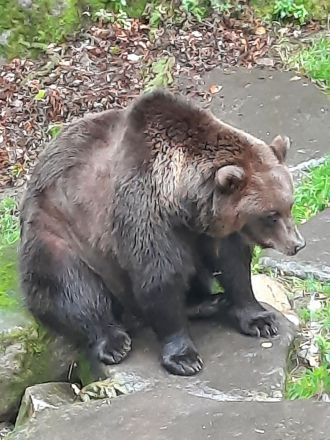 Fotografie 20250910-151456_original_original.jpg