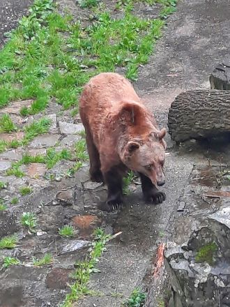 Fotografie 20250910-151613_original_original.jpg