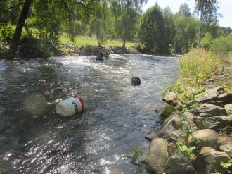 Fotografie img-8917_original_original.jpg