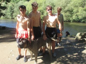 Fotografie img-8952_original_original.jpg