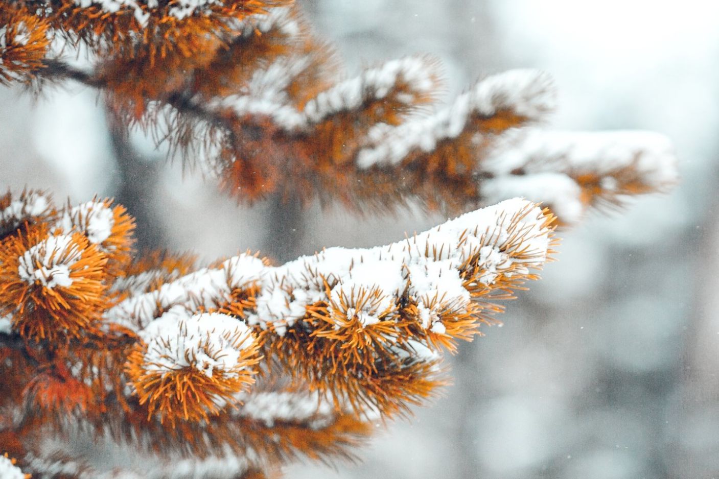  Soutěž: "Tvoříme školní PF 2026"