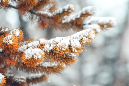 Foto k aktualitě  Soutěž: "Tvoříme školní PF 2026"