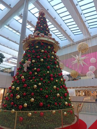 Fotografie img_20251114_113217_original.jpg