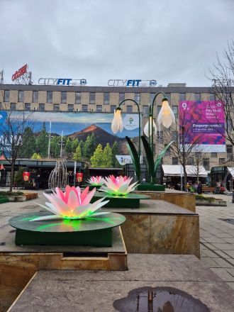 Fotografie 20251209_134502_original.jpg