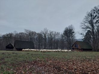 Fotografie 20251208_145127_original.jpg