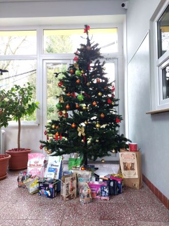 Fotografie whatsapp_image_2025-12-19_at_102520_original.jpeg