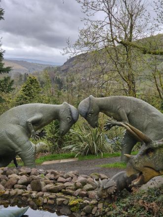 Fotografie 20260415_103254_original.jpg