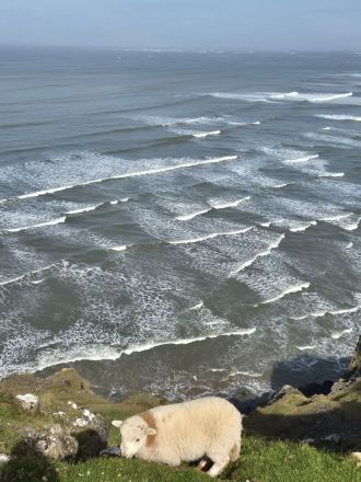 Fotografie 20260416_104843_original.jpg